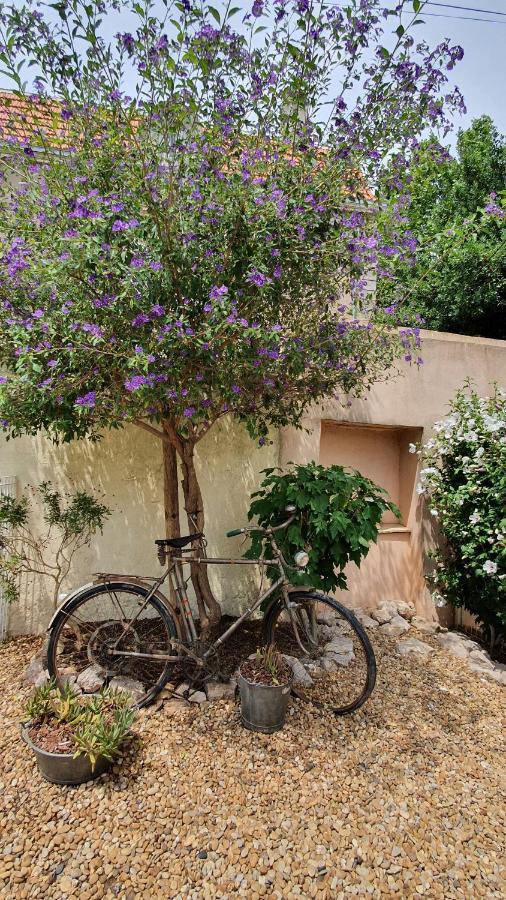 Gites "Tout Au Sud De La France" Pomérols エクステリア 写真