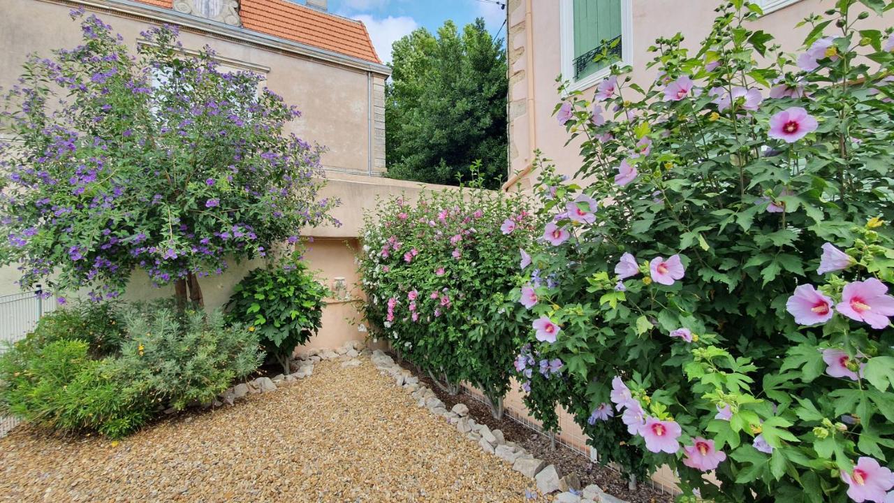 Gites "Tout Au Sud De La France" Pomérols エクステリア 写真